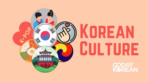 드리스반노튼, 한국 문화의 다채로운 면모를 탐구하다